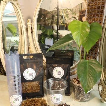 Premium Moss Pole Kit