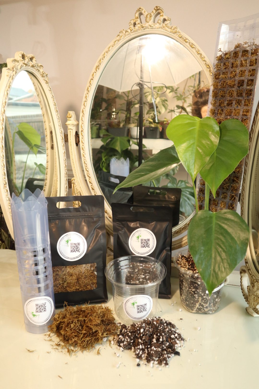 UPDATE Win a Premium Moss Pole Kit!